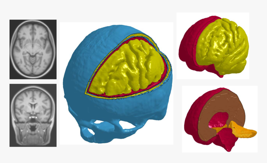 Medical Imaging, HD Png Download, Free Download