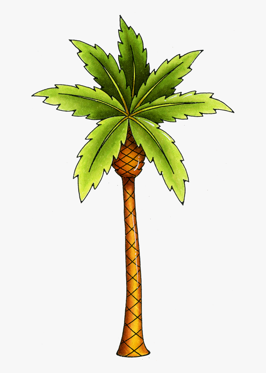 Palm Tree Family Christmas Stockings, Christmas Manger, - Dibujo De Palmera A Color, HD Png Download, Free Download