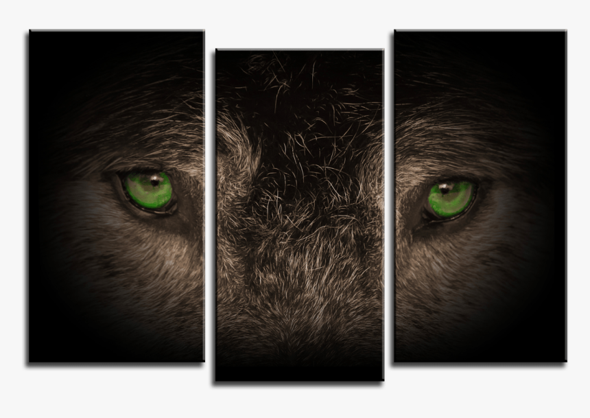 Wolf Eyes 3 Panel Canvas Print 075-01 - Wolf On 3 Panel Canvas, HD Png Download, Free Download