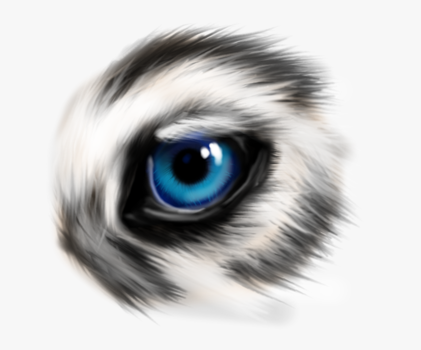 Wolf Eye Practice - Ojos Azules, HD Png Download, Free Download