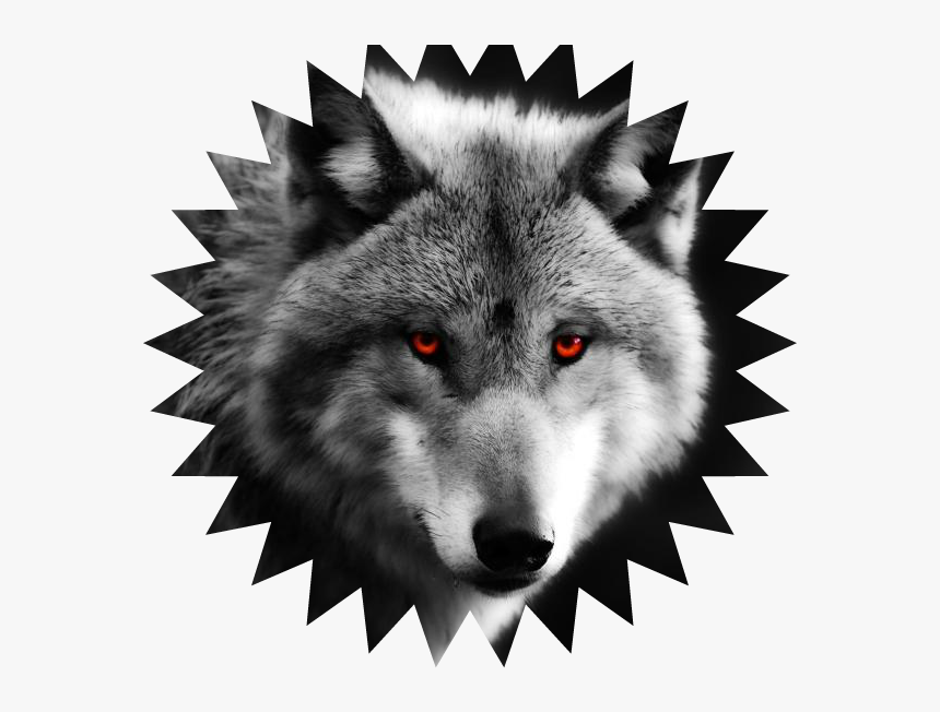 Wolf Cl3aesgfgrfose Up Weee111red Eyes Predator 1080p - Wolf Picture On Canvas, HD Png Download, Free Download