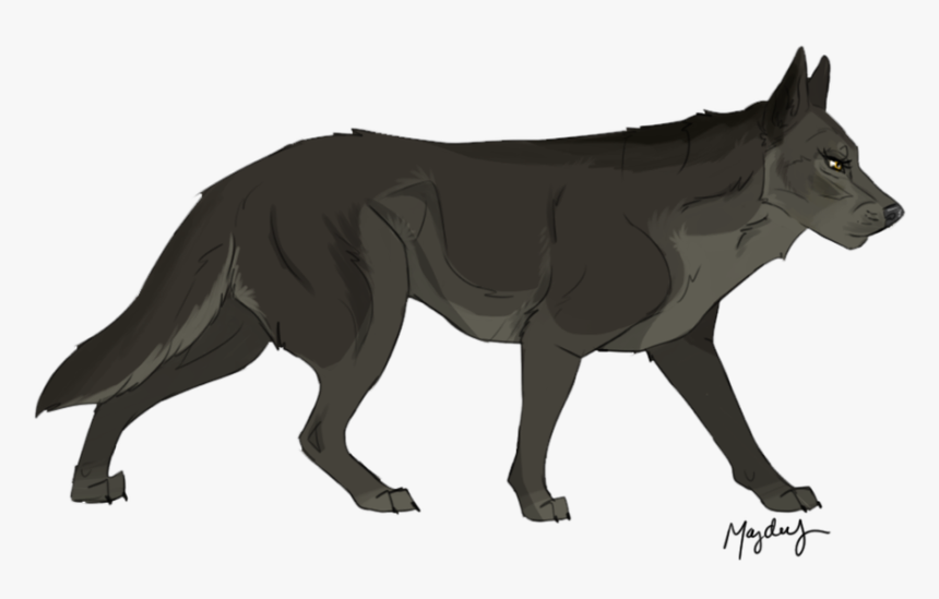 Canis Lupus Tundrarum, HD Png Download, Free Download