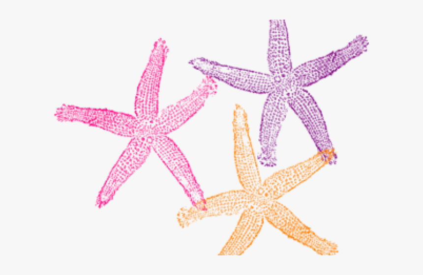 Transparent Starfish Vector Png - Transparent Background Mermaid Png Clipart, Png Download, Free Download