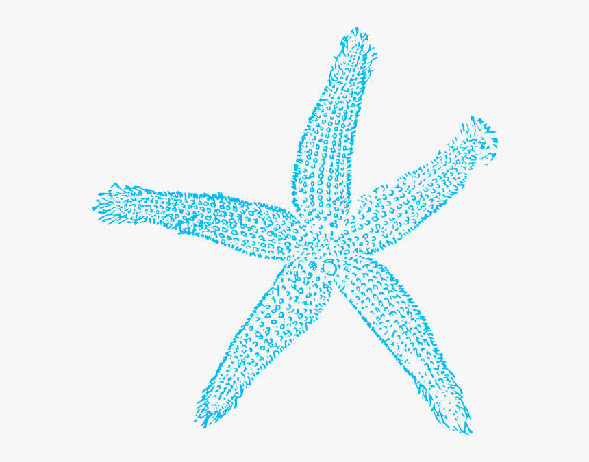 Download Blue Starfish Svg Clip Arts Teal Starfish Clipart Hd Png Download Kindpng