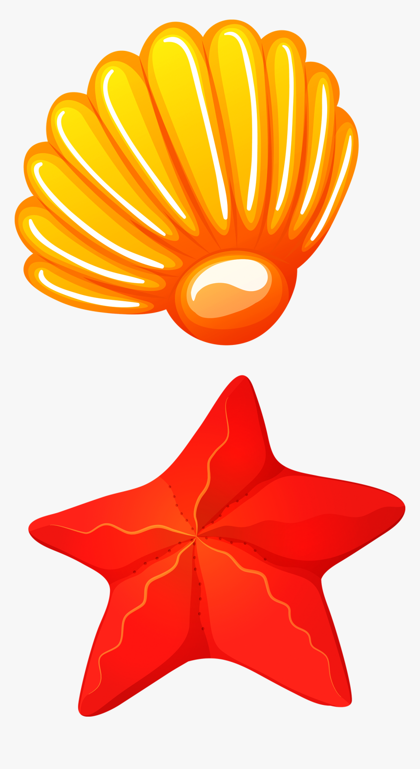 Starfish Cartoon Png - Seashell Vector Png, Transparent Png, Free Download