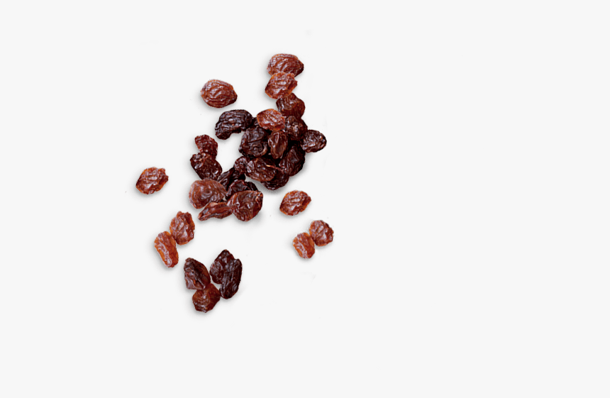 Transparent Raisin Png, Png Download, Free Download