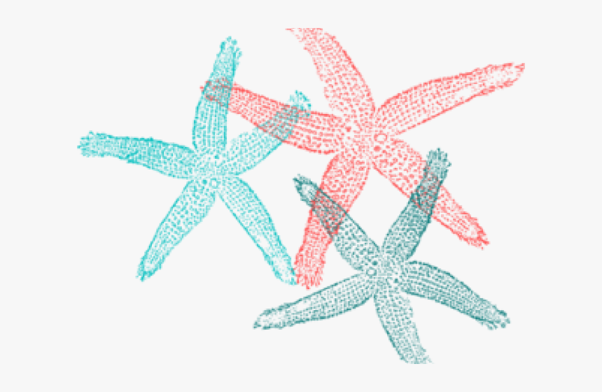 Transparent Starfish Clipart Png - Fish Clip Art, Png Download, Free Download