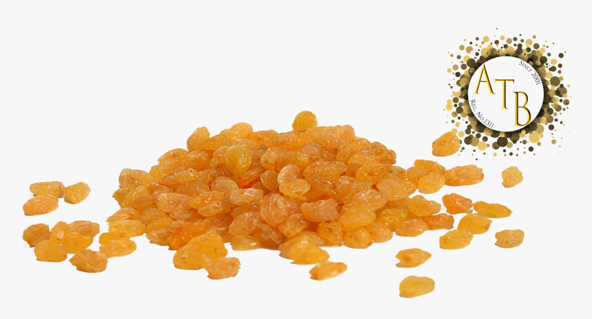 Golden Raisin - Atb - Golden Raisin Png, Transparent Png, Free Download