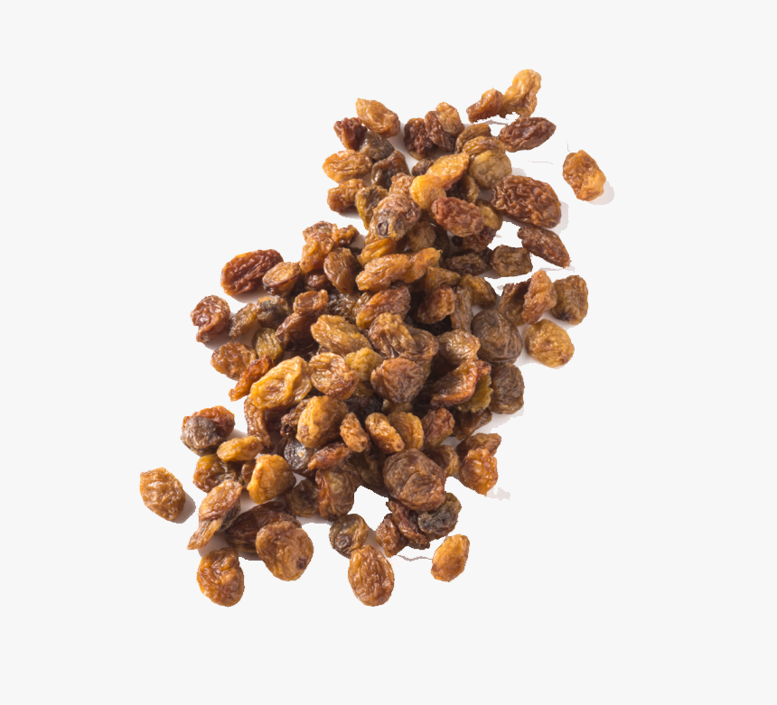 Raisin No Background - Raisin, HD Png Download, Free Download