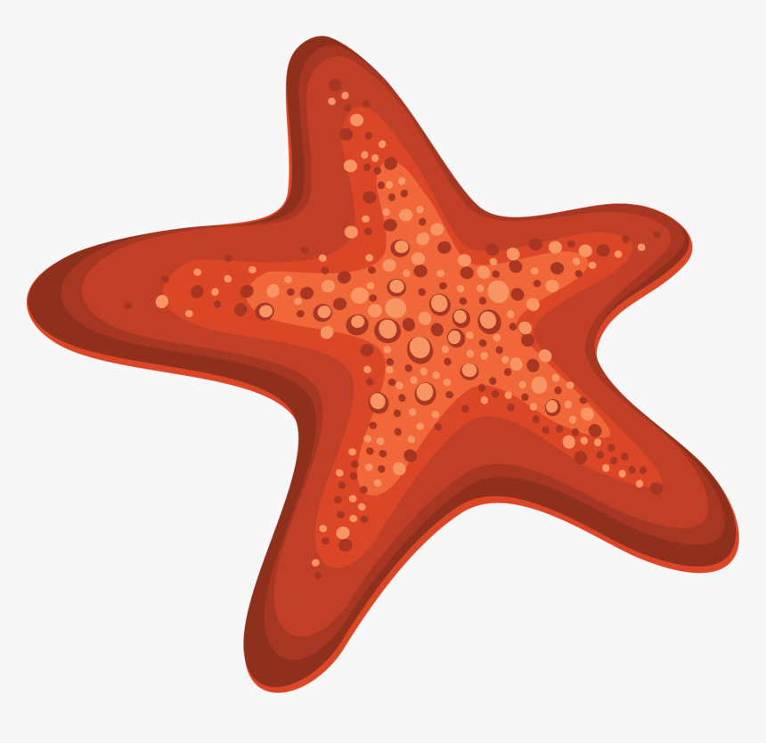 Starfish Cartoon Png, Transparent Png, Free Download