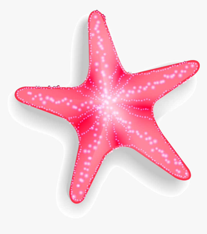 Pink Starfish Clipart Transparent Background, HD Png Download, Free Download