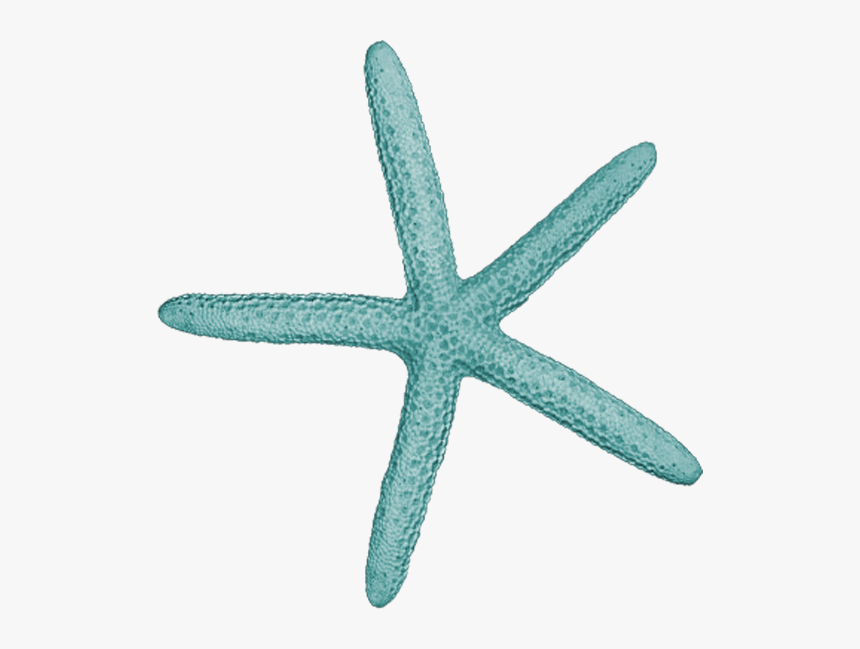 Фотки Starfish, Underwater, Moana Disney, Disney Princess, - Starfish, HD Png Download, Free Download