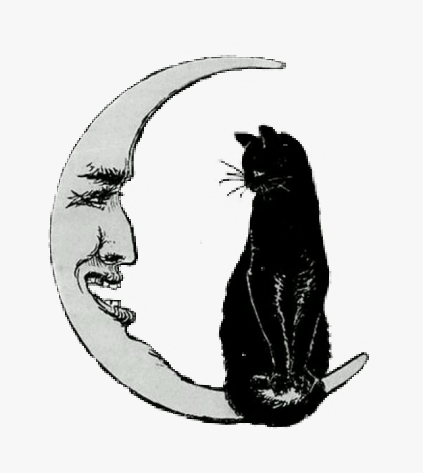 Halloween Png Vintage - Vintage Crescent Moon Art, Transparent Png, Free Download