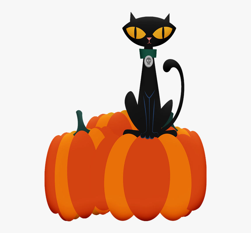 Halloween Cat, Halloween, Ghosts, Skulls, Pumpkins - Blavk Cat Pumkin, HD Png Download, Free Download