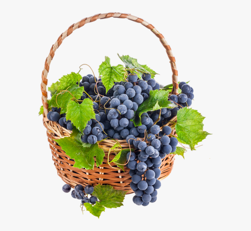 Panier De Raisin Png, Tube - Дары Осени На Прозрачном Фоне, Transparent Png, Free Download