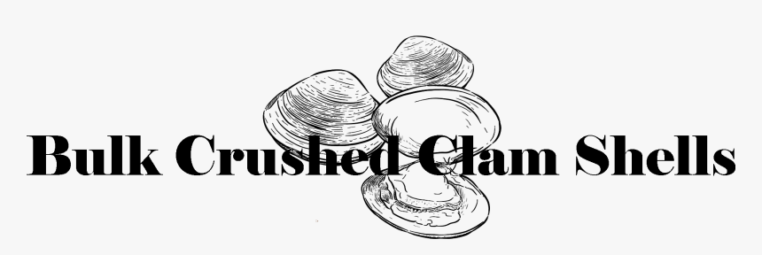 Transparent Clam Shell Png - Line Art, Png Download, Free Download