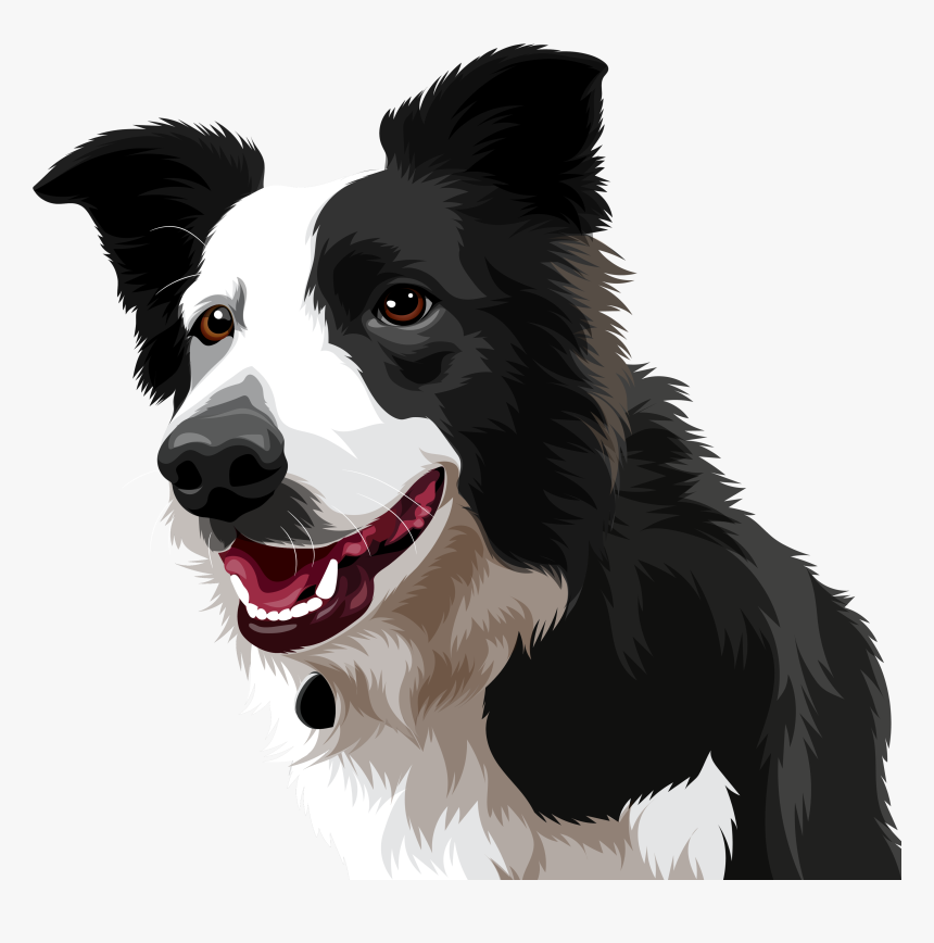 Save Photo With Transparent Background - Dog Catches Something, HD Png Download, Free Download