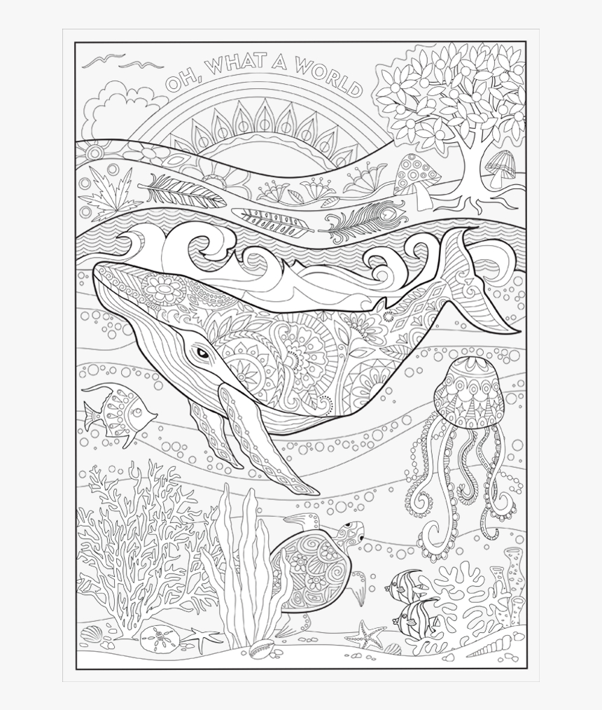 Oh, What A Colorful World Coloring Book - Kacey Musgraves Coloring Book, HD Png Download, Free Download