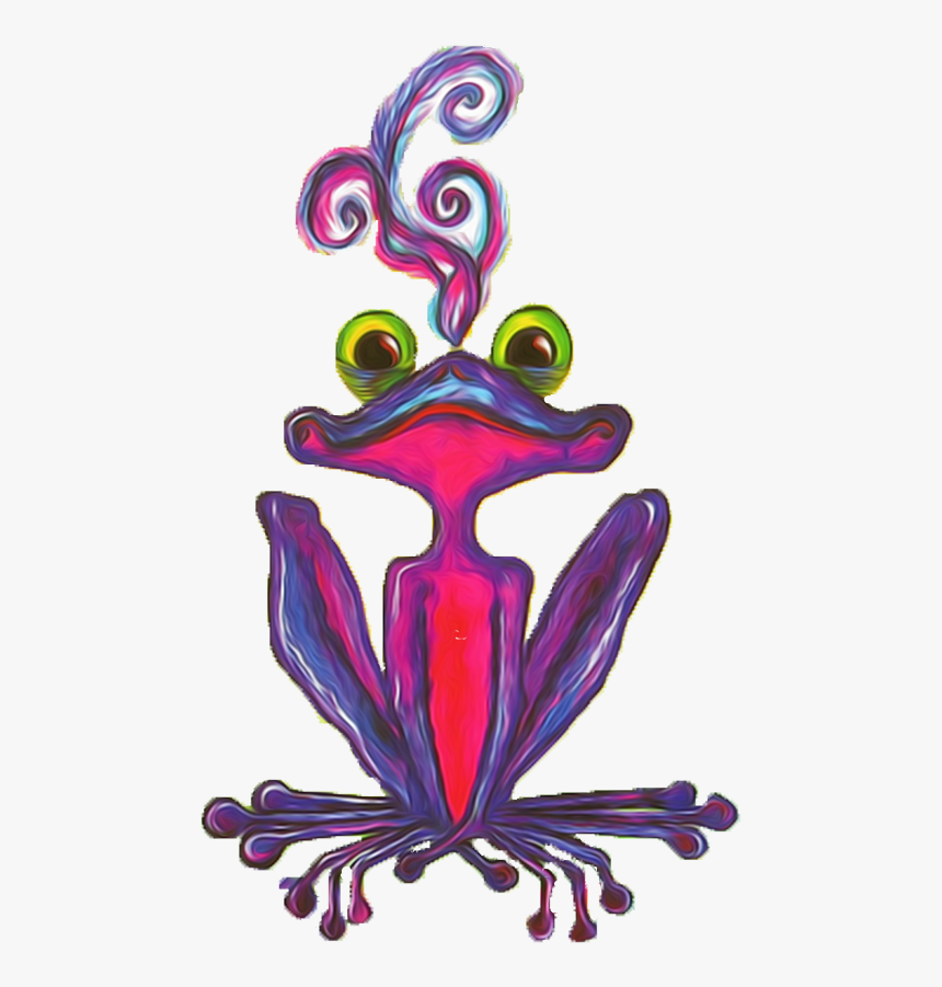 Image Of Zeek - True Frog, HD Png Download, Free Download