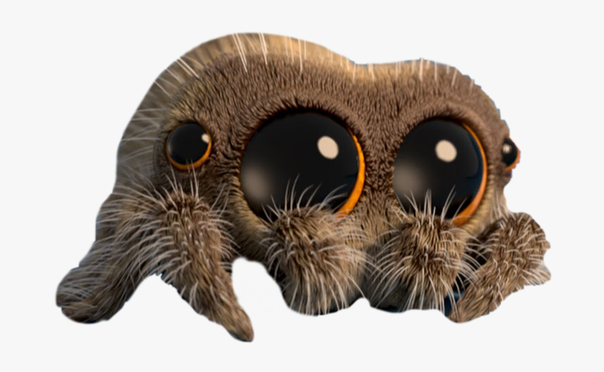 #lucas #lucasthespider #cute #spider #animal #insect - Lucas The Spider, HD Png Download, Free Download