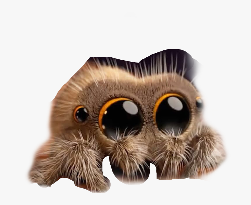 #cute #spider #freetoedit - Lucas The Cute Spider, HD Png Download, Free Download