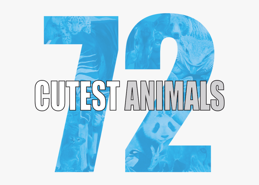 72 Cutest Animals - Graphic Design, HD Png Download, Free Download