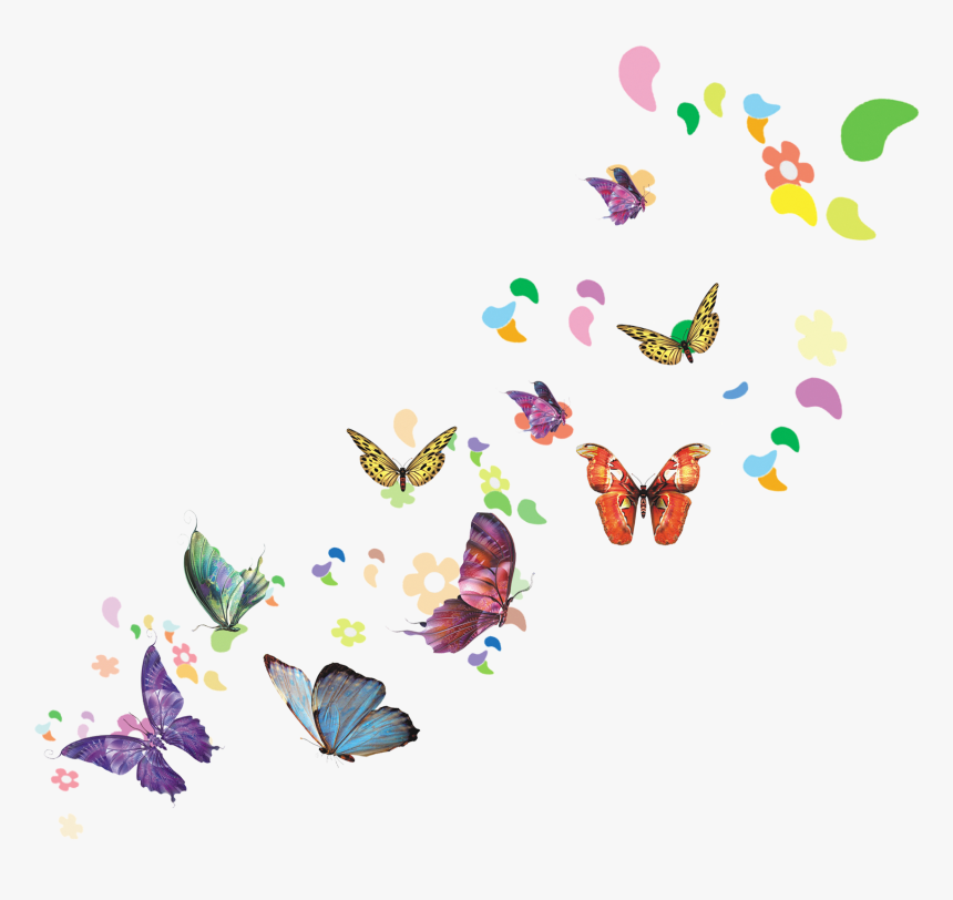 Download Spring Illustration - Illustration Of Butterfly Png, Transparent Png, Free Download