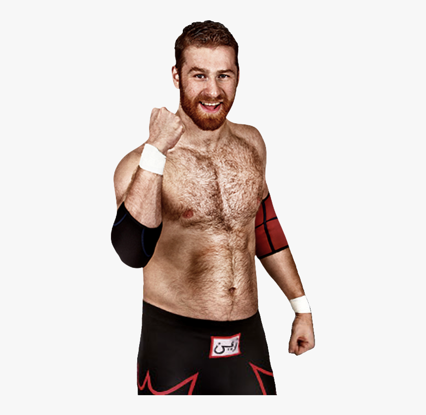 Sami Zayn Chest Hair, HD Png Download, Free Download