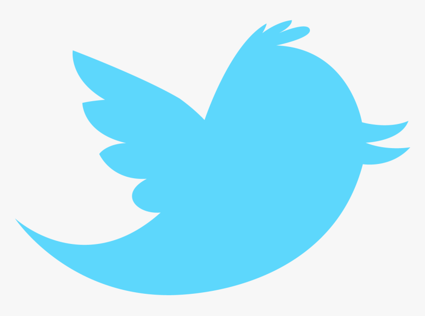 Thumb Image - Twitter Bird Logo Transparent, HD Png Download, Free Download