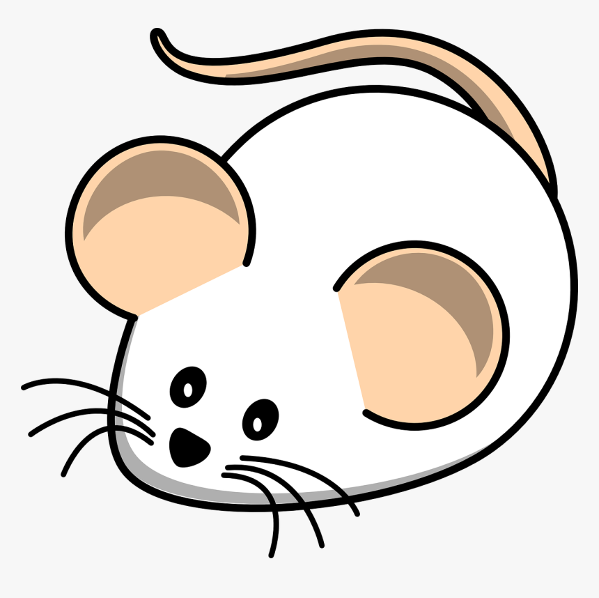 Mouse, White Mouse, Field, Animal, Rat, Mammal - White Mouse Clip Art, HD Png Download, Free Download