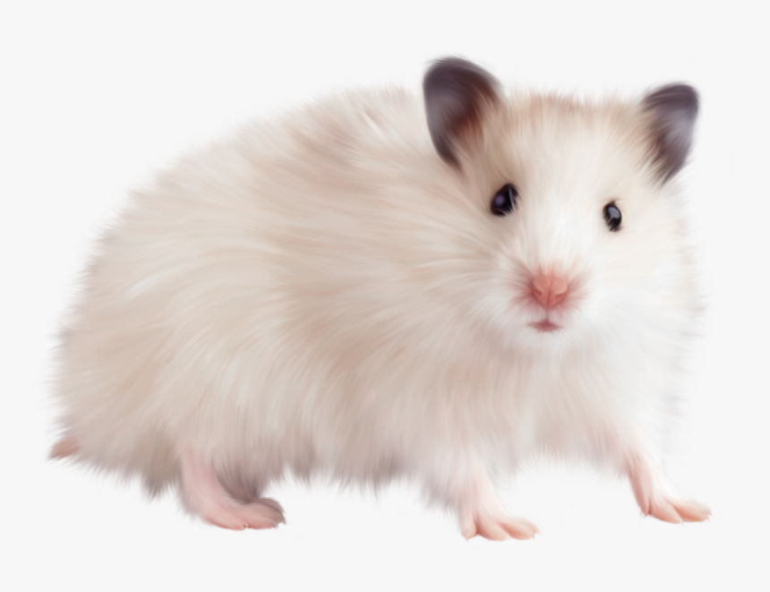 Rat Transparent Png File - Mouse Animal Png, Png Download, Free Download