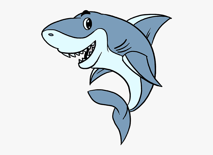 How To Draw A Cartoon Shark Easy Step By Drawing Guides - Shark Drawing, HD Png Download, Free Download