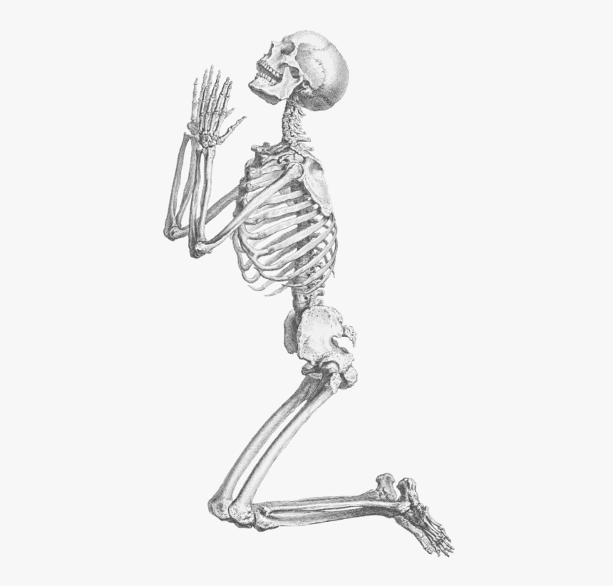 Skeleton, Skull, And Transparent Image - Praying Skeleton Png, Png Download, Free Download