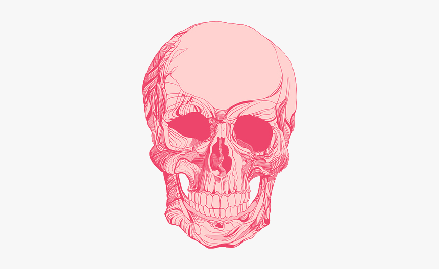 Pink Skull Png, Transparent Png, Free Download