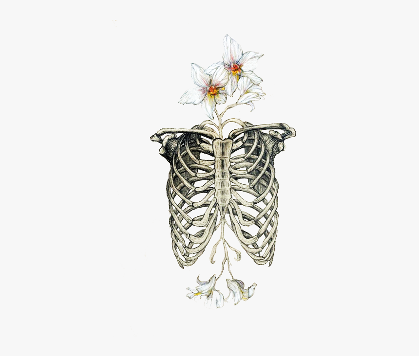 #skull #flowers #costillas #tumblr - Lungs With Flowers Drawing, HD Png Download, Free Download