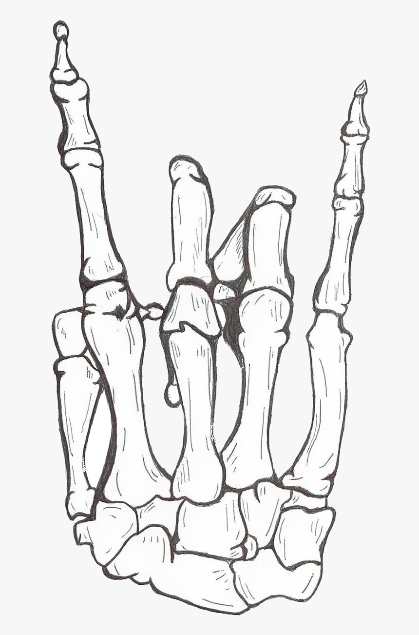 Drawing Human Skeleton Hand Bone - Skull Rock On Hand, HD Png Download, Free Download