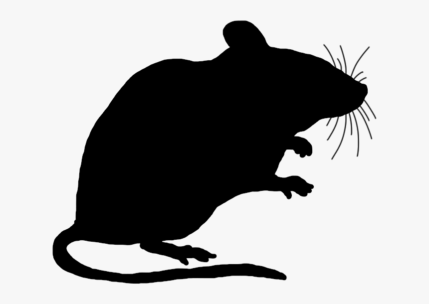 Mouse Clipart Mouse Clip Art Image - Transparent Background Rat Clip Art, HD Png Download, Free Download