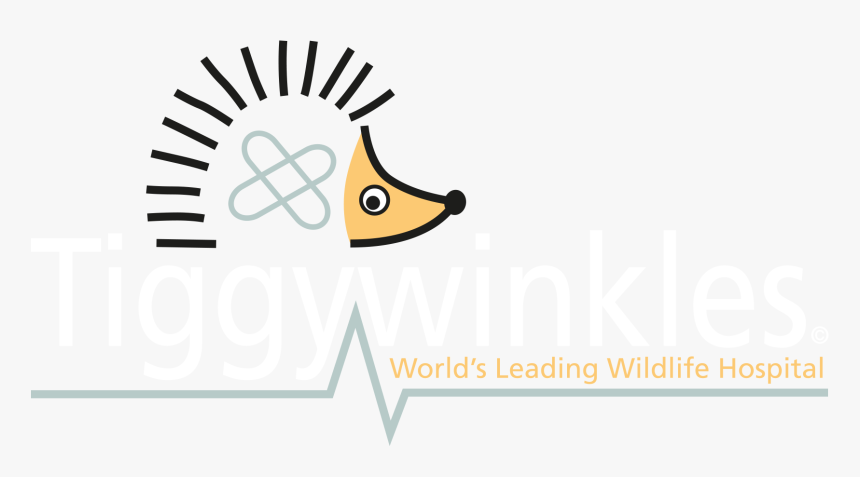 Tiggywinkles - Barnsley Hospital Nhs Foundation Trust, HD Png Download, Free Download