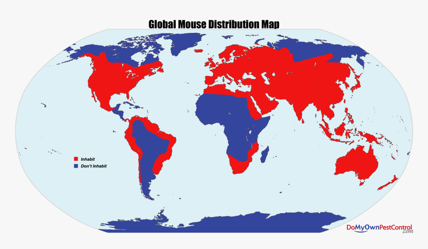 Map Of Where Rats Live, HD Png Download, Free Download