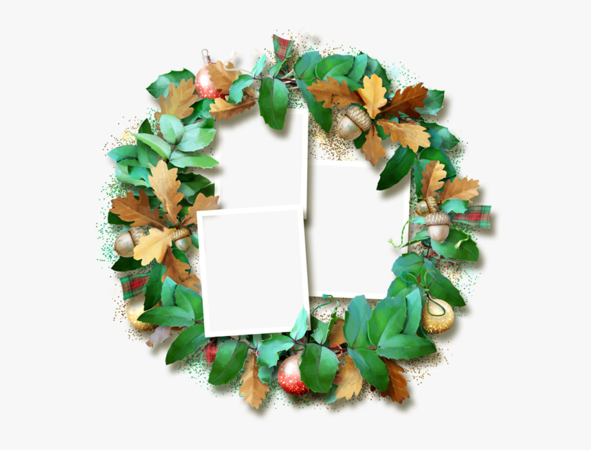 Quadro Png, Molduras, Quadros - Wreath, Transparent Png, Free Download