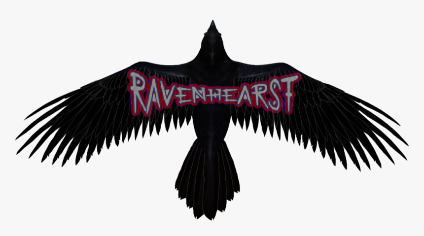 Raven Transparent Background, HD Png Download, Free Download