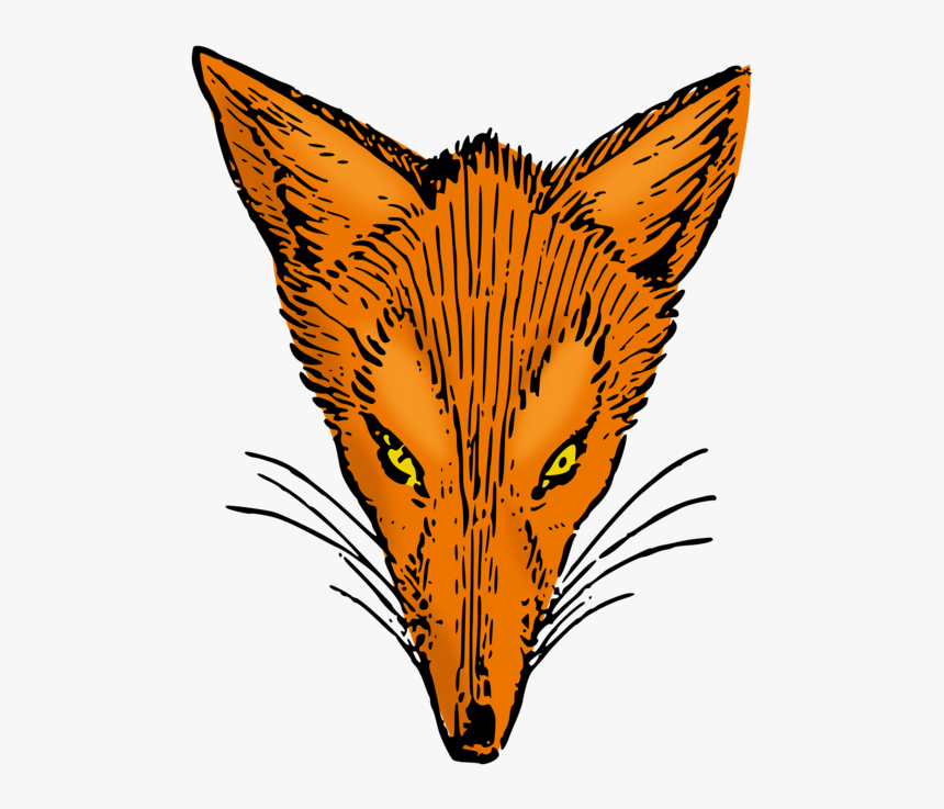 Red Fox Arctic Fox Gray Wolf Fox Television Stations - Drawing Fox, HD Png Download, Free Download