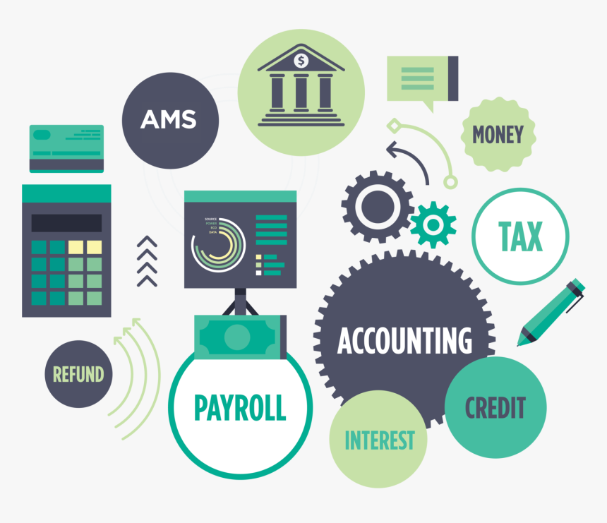 Accountant Edmonton - Payroll And Hr Solution, HD Png Download, Free Download