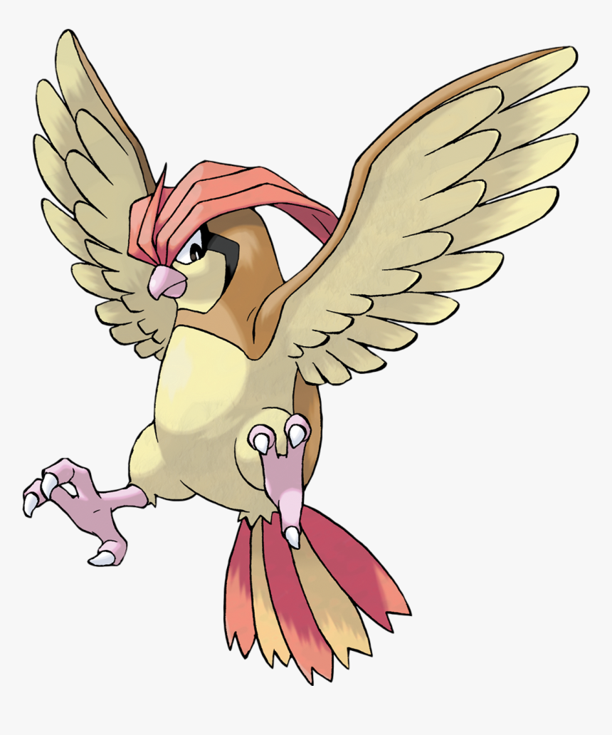 Pokemon Pidgeotto, HD Png Download, Free Download