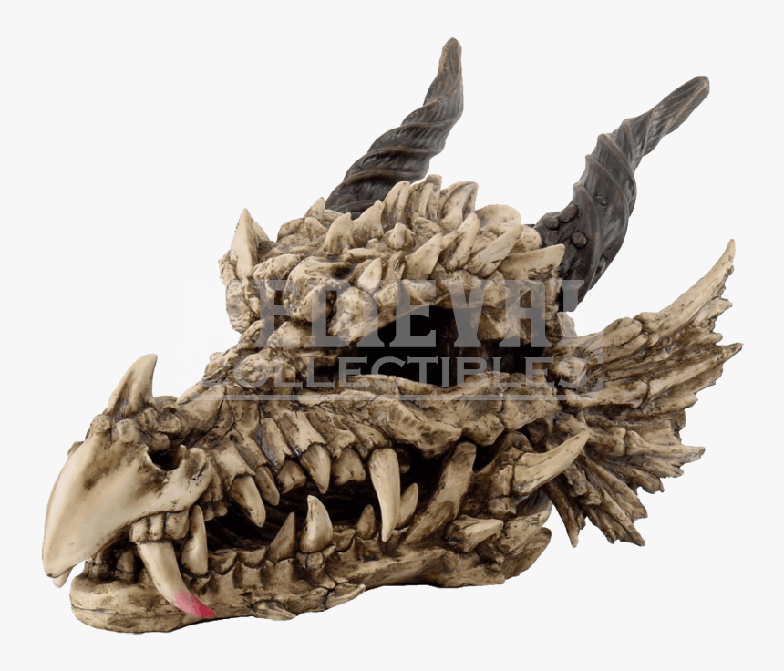 Dragon Skull Png - Dragon Skull, Transparent Png, Free Download