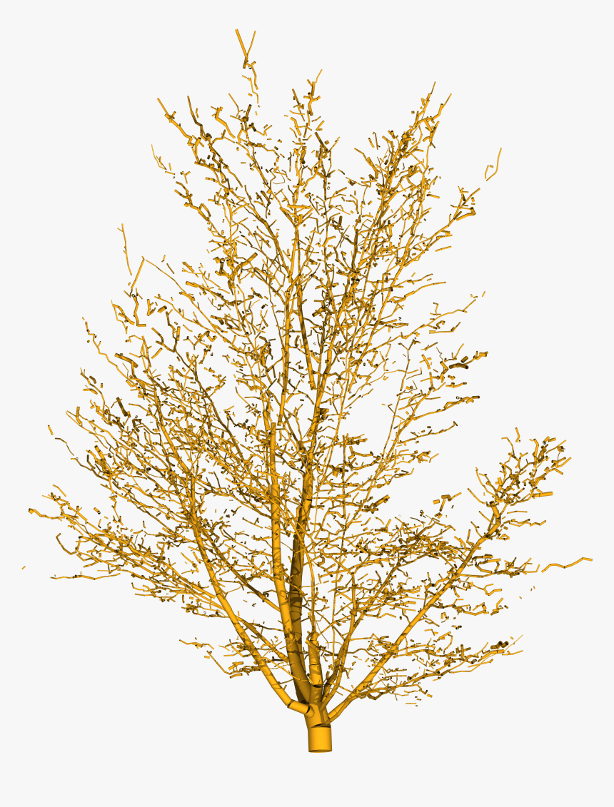 Tree Png Hd Image In Desert , Png Download - Yellow Branch Png, Transparent Png, Free Download