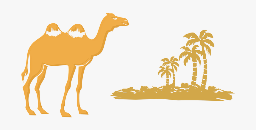 Camel, Tree, Desert - Image, HD Png Download, Free Download
