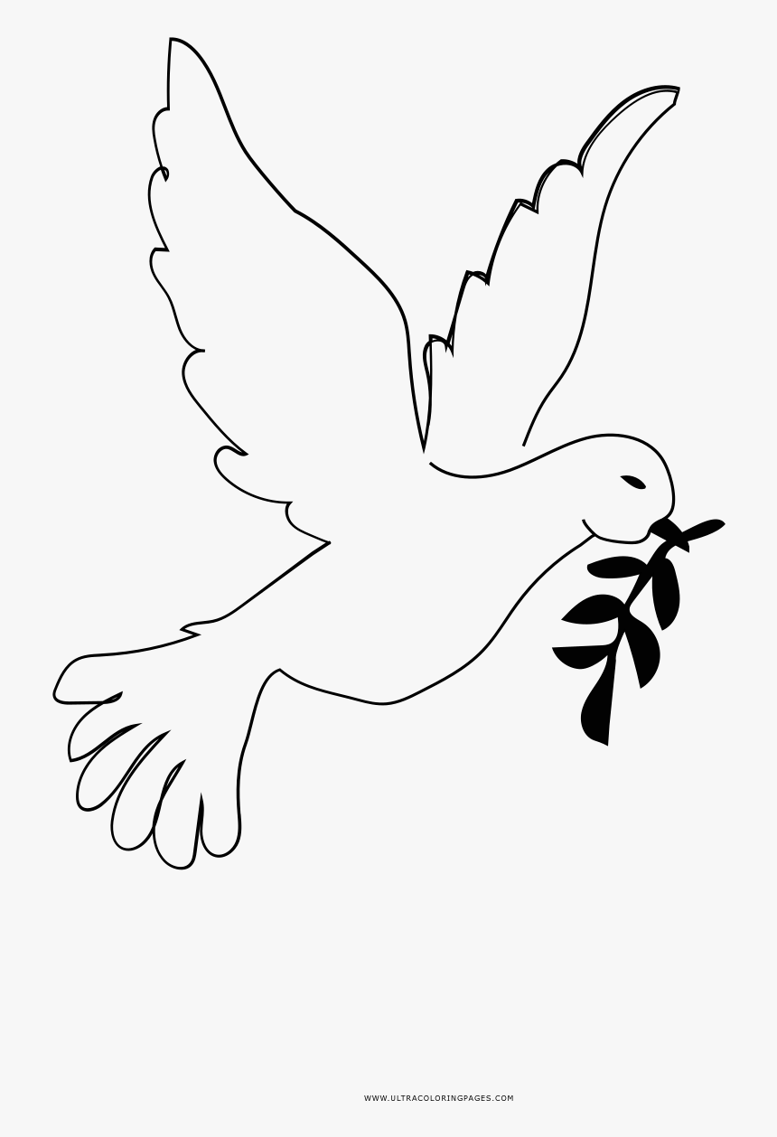 Peace Dove Coloring Page - Para Colorear Paloma De Paz Dibujo, HD Png Download, Free Download