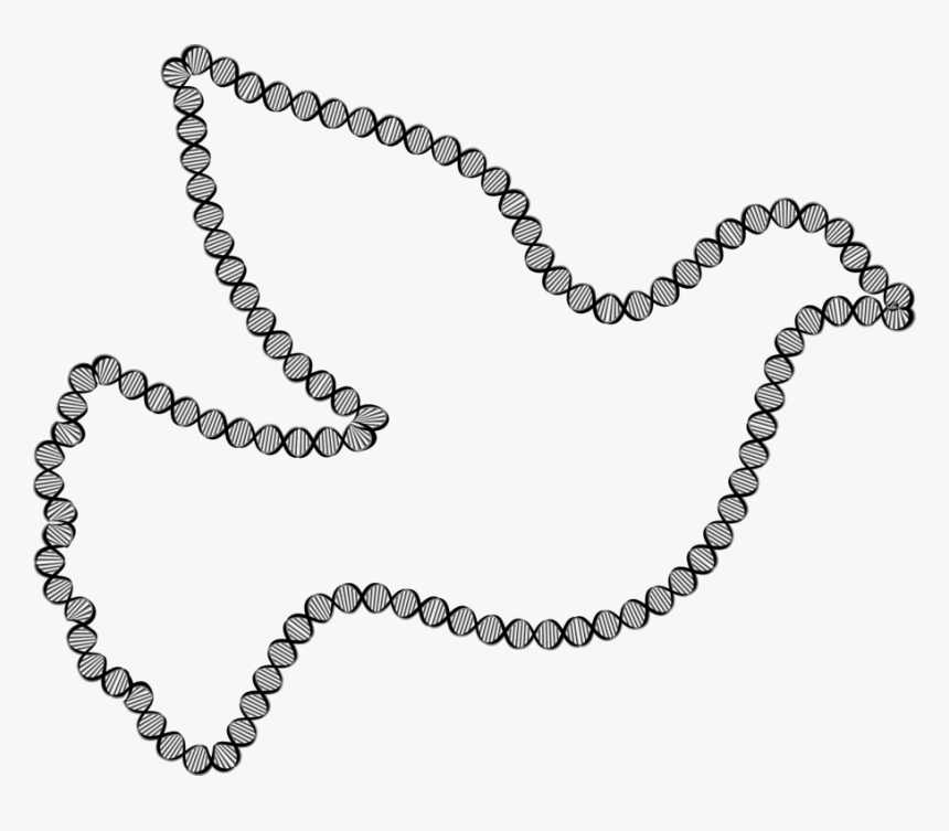 Chain,jewellery,body Jewelry - Dove Clipart, HD Png Download, Free Download