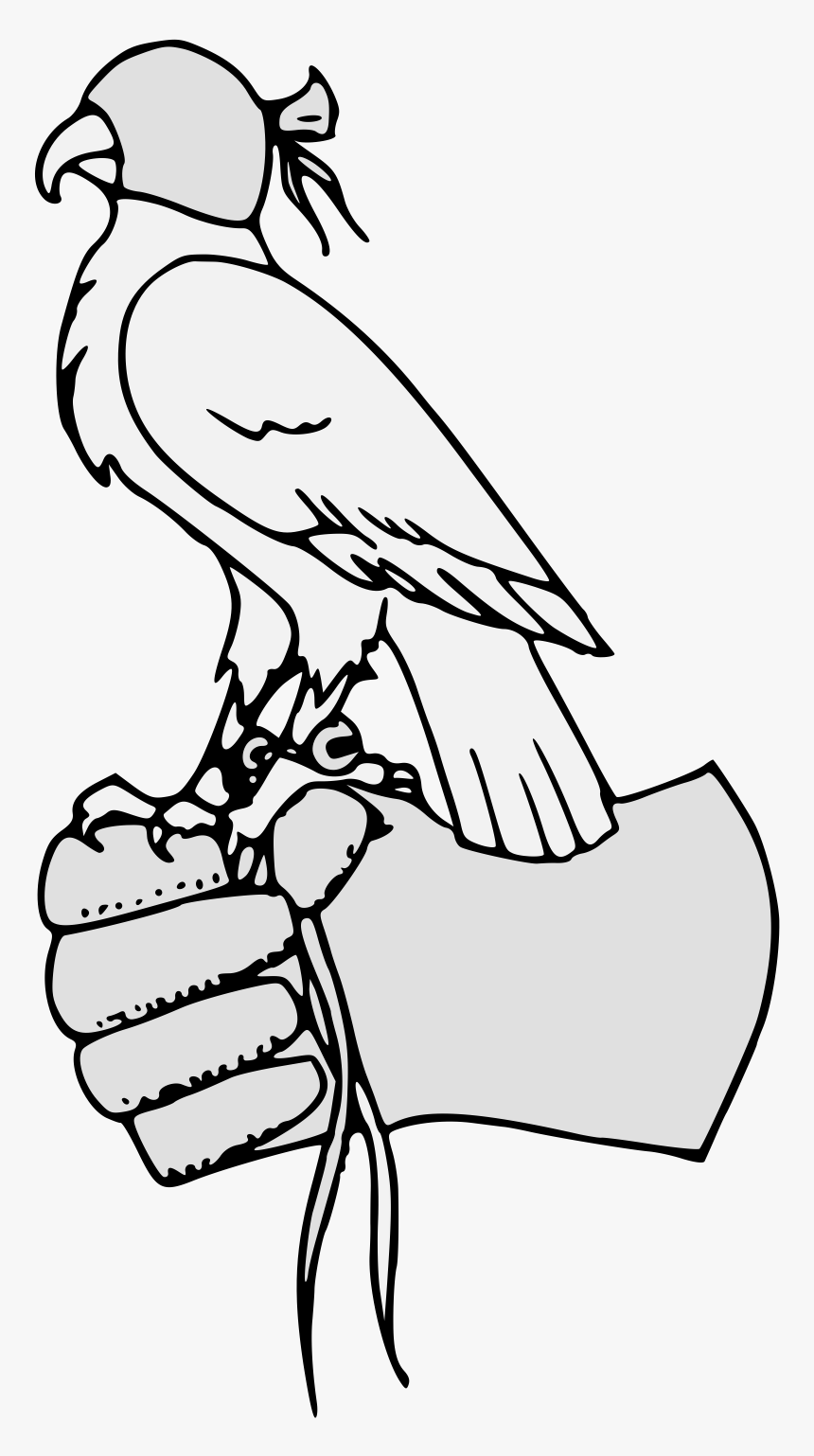 Parrot Clipart , Png Download - Sketch, Transparent Png, Free Download